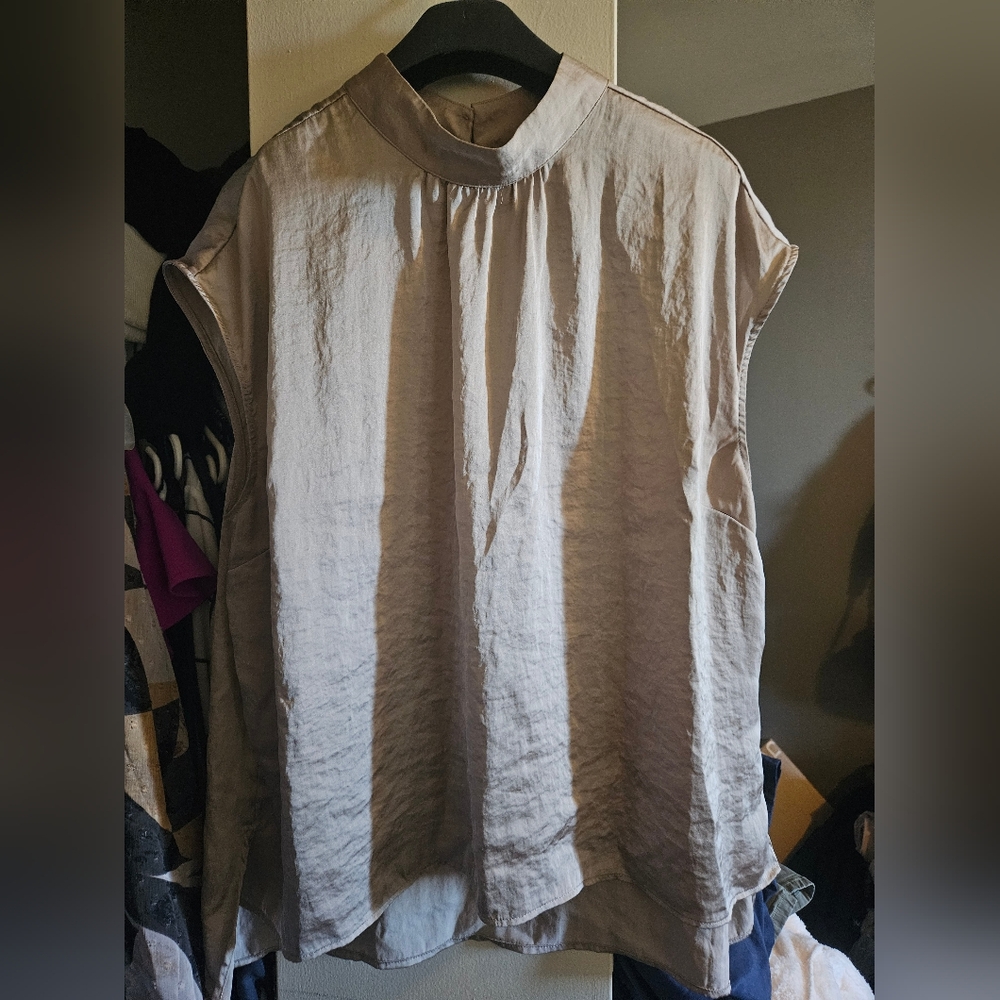 Reitmans Elegant Champagne Top XXL